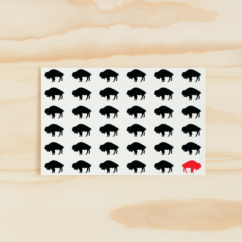 Buffalove Buffalo Notecard Sets